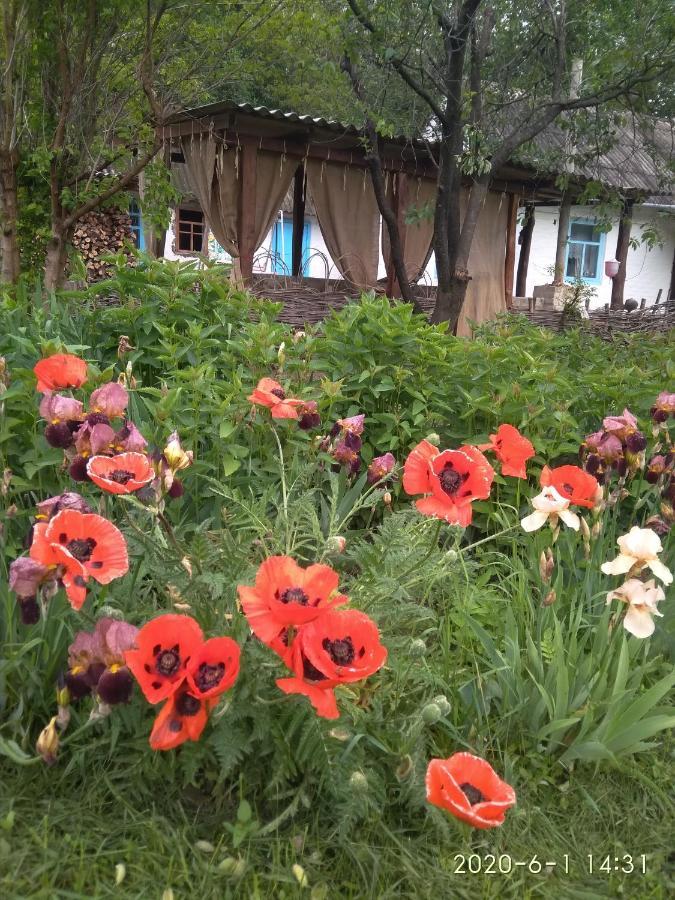 Maliovnytsya Casa de hóspedes Dybintsy Exterior foto