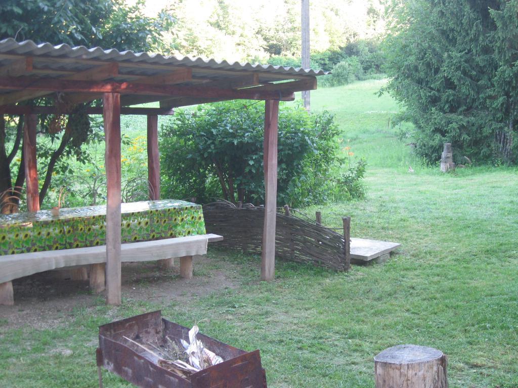 Maliovnytsya Casa de hóspedes Dybintsy Exterior foto