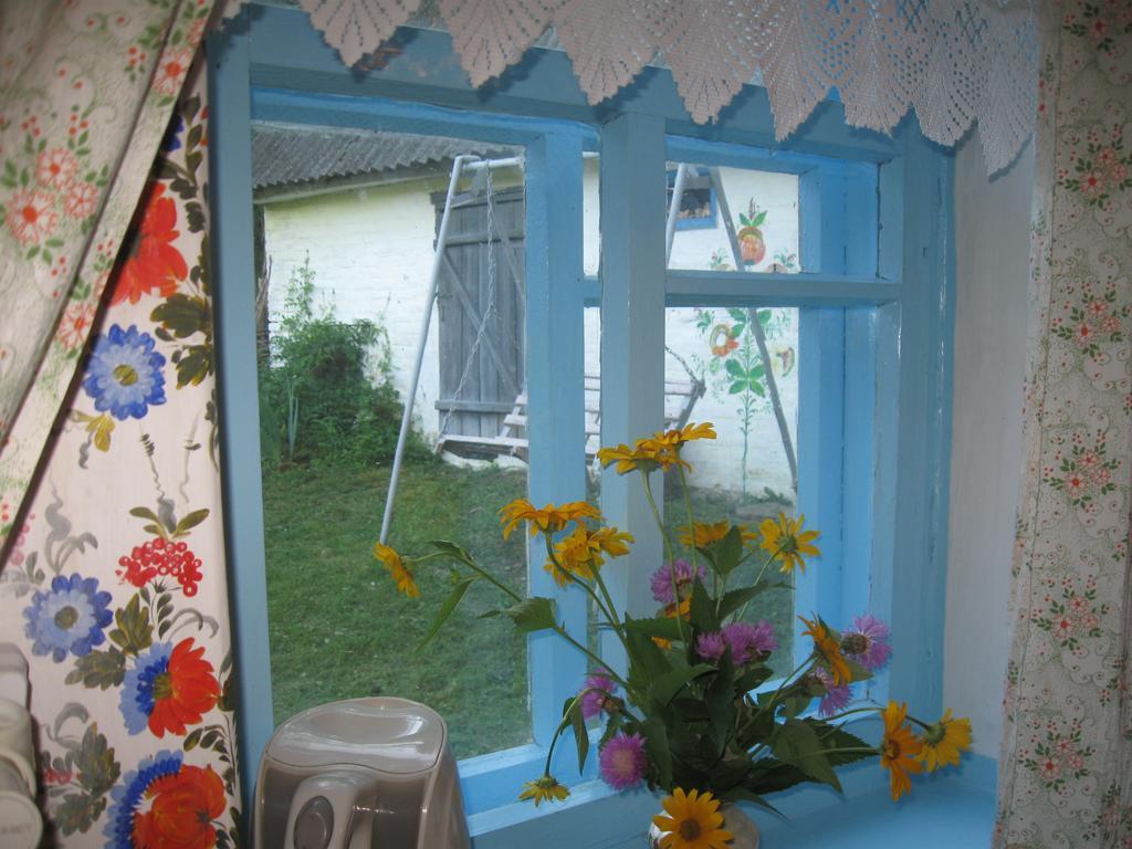 Maliovnytsya Casa de hóspedes Dybintsy Exterior foto