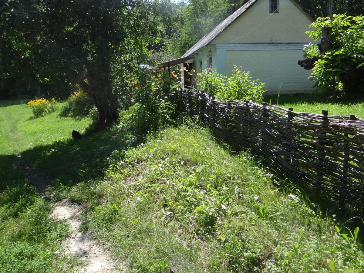 Maliovnytsya Casa de hóspedes Dybintsy Exterior foto