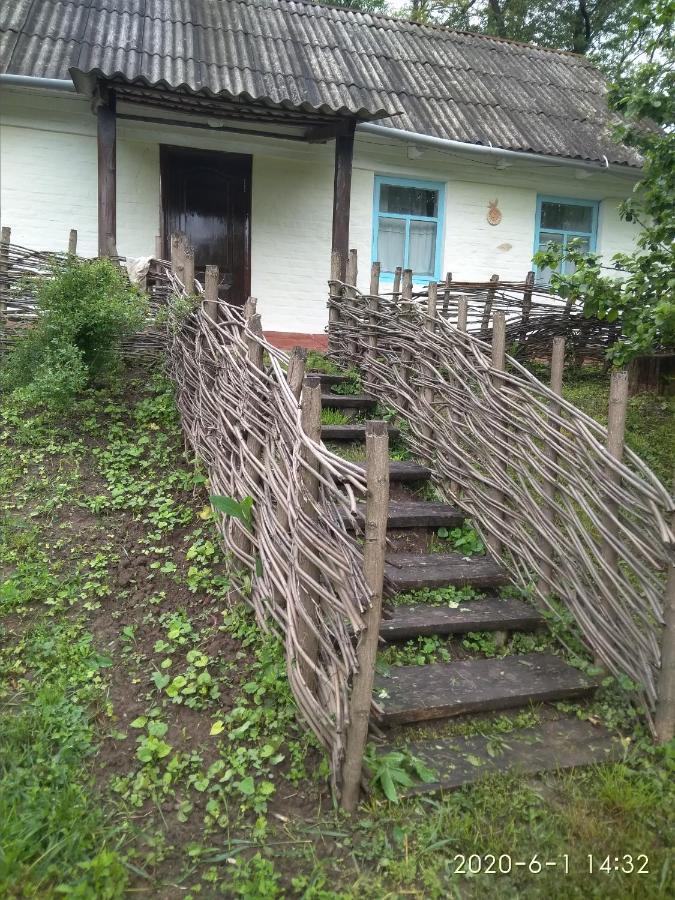 Maliovnytsya Casa de hóspedes Dybintsy Exterior foto